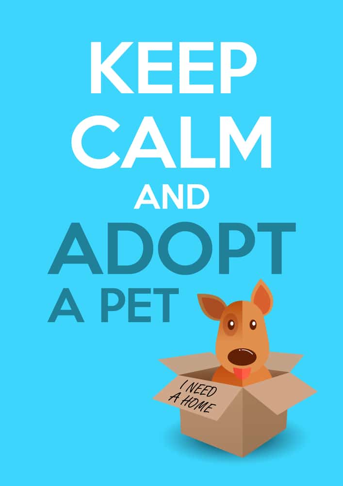 Keep Calm and Adopt A Pet