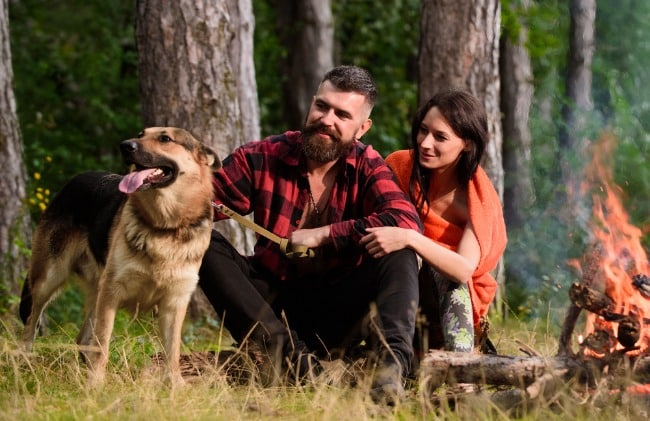 Dog Temperament