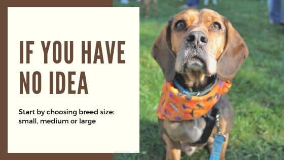 Dog Breed Choice