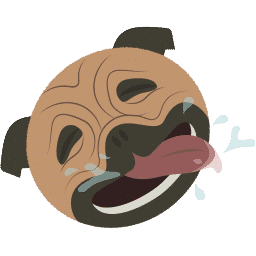 Dog Accidents