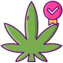 Cannabis