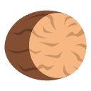 Nutmeg
